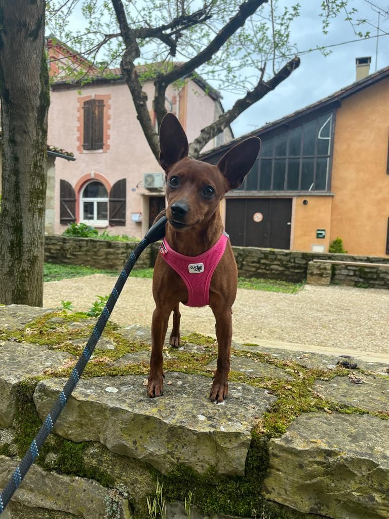 U'rosi Titre Initial